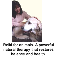 Reiki for Animals 
