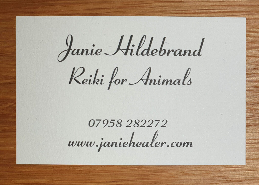 business-card-reiki-animals